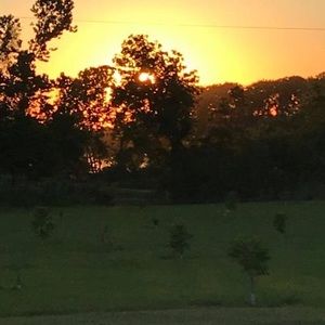 Meet your Posher, Ronna